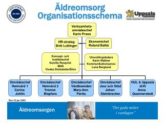 Äldreomsorg Organisationsschema