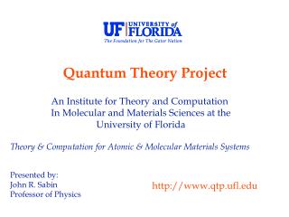 An Institute for Theory and Computation In Molecular and Materials Sciences at the