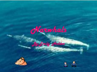 Narwhals