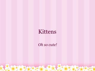 Kittens