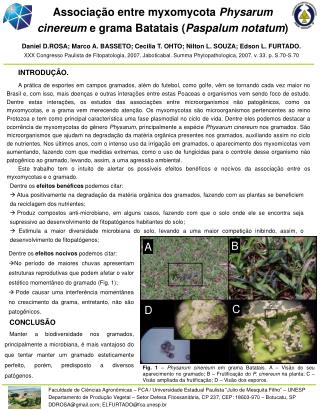 Associação entre myxomycota Physarum cinereum e grama Batatais ( Paspalum notatum )