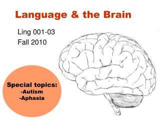Language &amp; the Brain