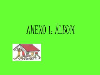 ANEXO 1: ÁLBUM