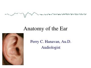 Anatomy of the Ear