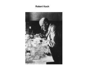 Robert Koch