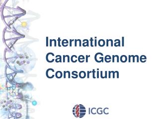 International Cancer Genome Consortium