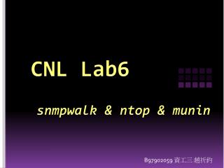 CNL Lab6 snmpwalk &amp; ntop &amp; munin