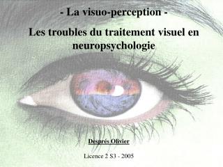 - La visuo-perception - Les troubles du traitement visuel en neuropsychologie