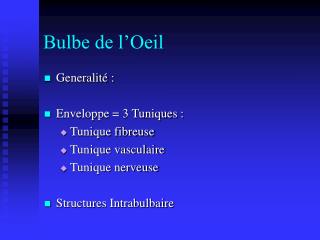 Bulbe de l’Oeil