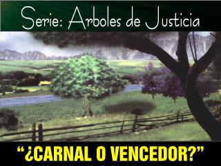 Serie: Arboles de Justicia