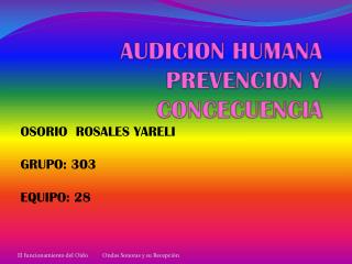 AUDICION HUMANA PREVENCION Y CONCECUENCIA