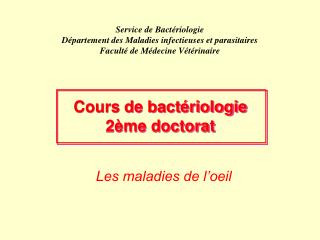 Les maladies de l’oeil