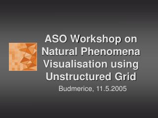 ASO W orkshop on Natural Phenomena Visualisation using Unstructured Grid