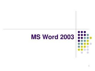 MS Word 2003