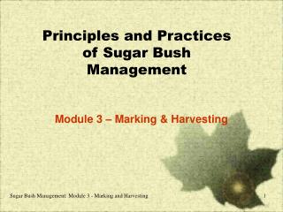 Principles and Practices of Sugar Bush Management