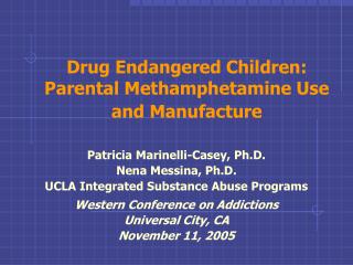 Drug Endangered Children: Parental Methamphetamine Use and Manufacture