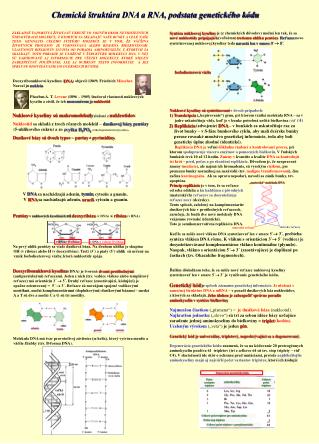 Chemická štruktúra DNA a RNA, podstata genetického kódu