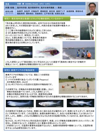 東南アジアの仔稚魚については，現在二つの研究を 行っています： ① ナマズの仲間であるパンガシウス属（ Pangasius ） 　の仔稚魚の発生、および