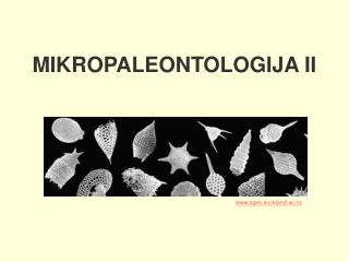 MIKROPALEONTOLOGIJA II