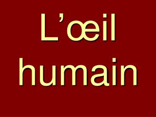 L’œil humain