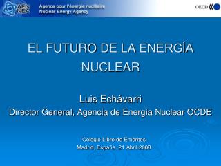 EL FUTURO DE LA ENERGĺA NUCLEAR