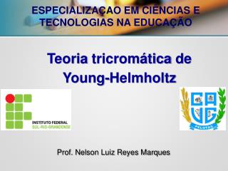 Prof. Nelson Luiz Reyes Marques