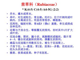 茜草科（ Rubiaceae ） * K(4-5) C(4-5) A4-5G (2:2)