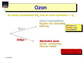 Ozon