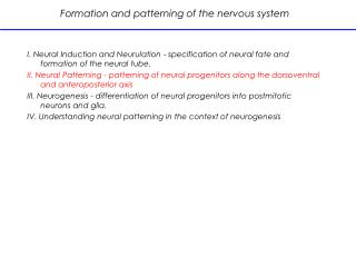 Formation and patterning of the nervous system