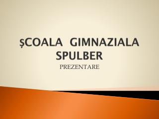 ȘCOALA GIMNAZIALA SPULBER