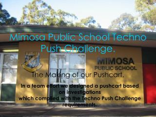 Mimosa Public School Techno Push Challenge.
