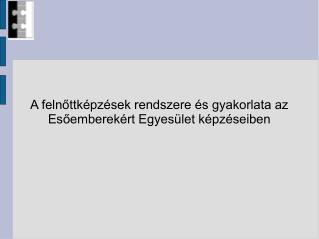 A felnőttképzések rendszere és gyakorlata az Esőemberekért Egyesület képzéseiben