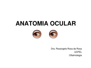 ANATOMIA OCULAR