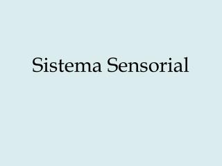 Sistema Sensorial