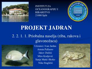 PROJEKT JADRAN 2. 2. 1. 1. Priobalna naselja (riba, rakova i glavonožaca)