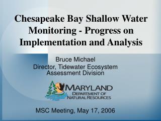 Chesapeake Bay Shallow Water Monitoring - Progress on Implementation and Analysis