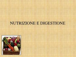 NUTRIZIONE E DIGESTIONE