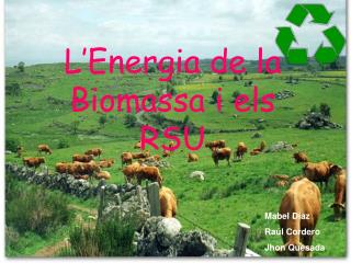 L’Energia de la Biomassa i els RSU