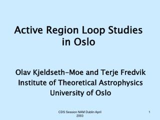 Active Region Loop Studies in Oslo