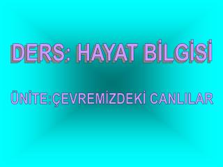 ÜNİTE:ÇEVREMİZDEKİ CANLILAR