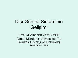 Dişi Genital Sisteminin Gelişimi