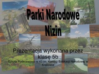 Parki Narodowe Nizin