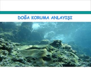 DOĞA KORUMA ANLAYIŞI