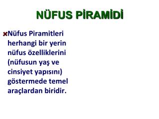 NÜFUS PİRAMİDİ