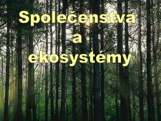 Společenstva a ekosystémy