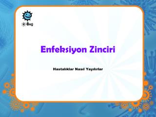 Enfeksiyon Zinciri