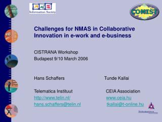 Challenges for NM A S in Collaborative Innovation in e-work and e-business