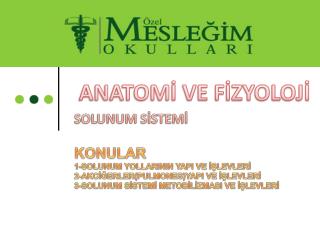 ANATOMİ VE FİZYOLOJİ