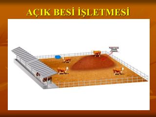 AÇIK BESİ İŞLETMESİ