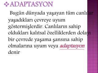 ADAPTASYON